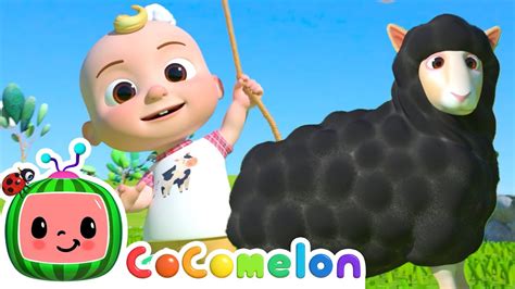 baa baa black sheep cocomelon|baa black sheep theme song.